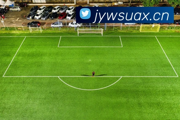 星空体育登录网页入口APP 高清赛事图